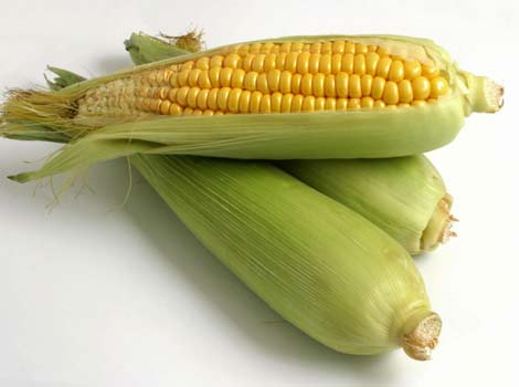 sweet corn