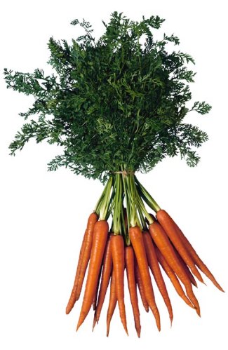 Carrots