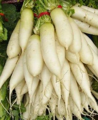 White Radishes