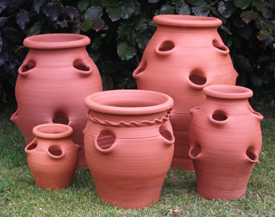 5 Fantastic Pots for Your Organic Garden