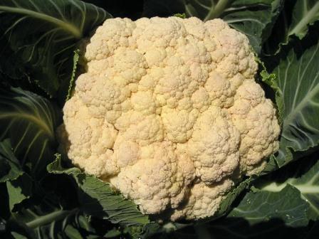 Cauliflower