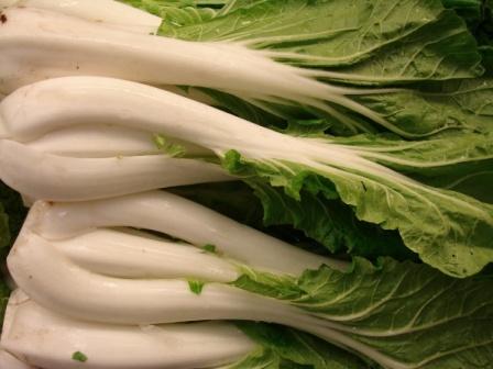 Chinese Cabbage