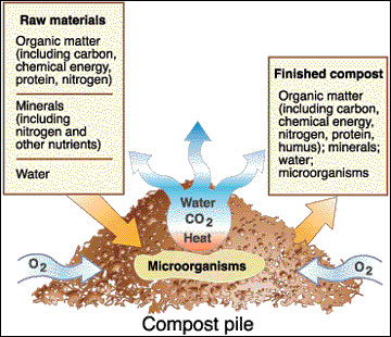 compost-requirements