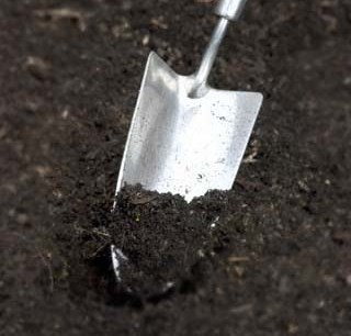 Garden Trowel Garden Trowel