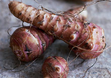 Jerusalem Artichoke roots