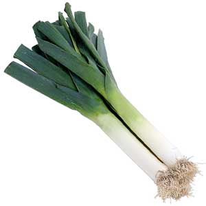 Leeks picked