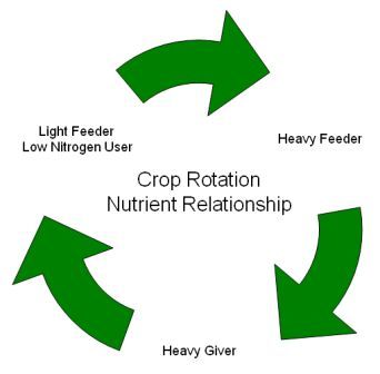 Rotating Crops Chart