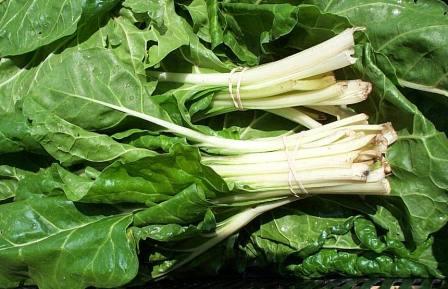 swiss chard harvested