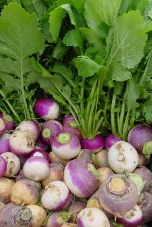 Turnips