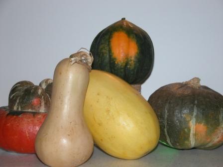 Winter Squash