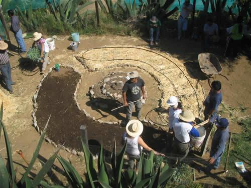 circular gardening beds