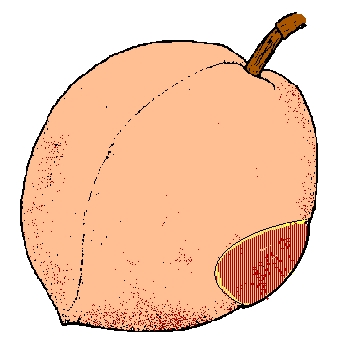 fruit with inflamed area