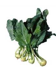 Kohlrabi picked